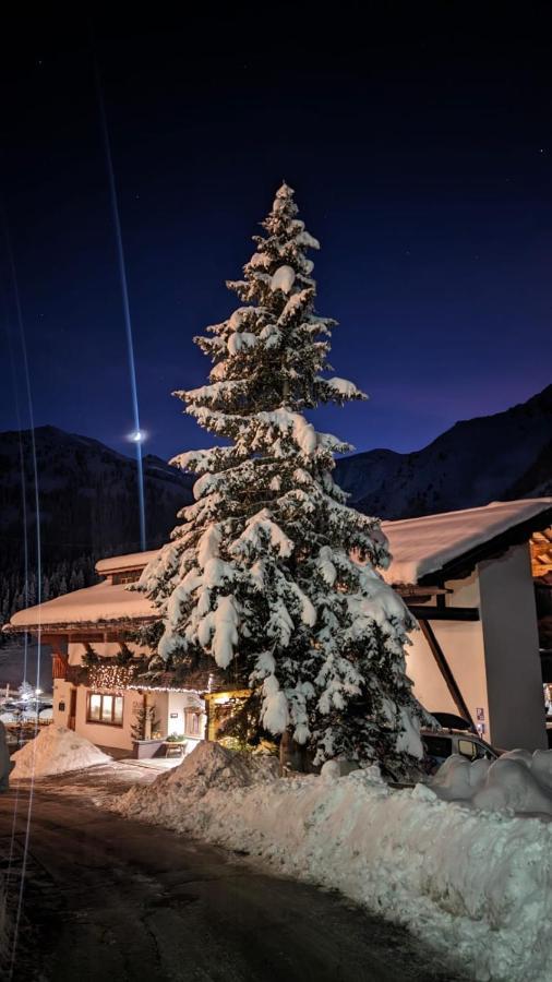 Hotel Almhof Hochfügen Eksteriør billede