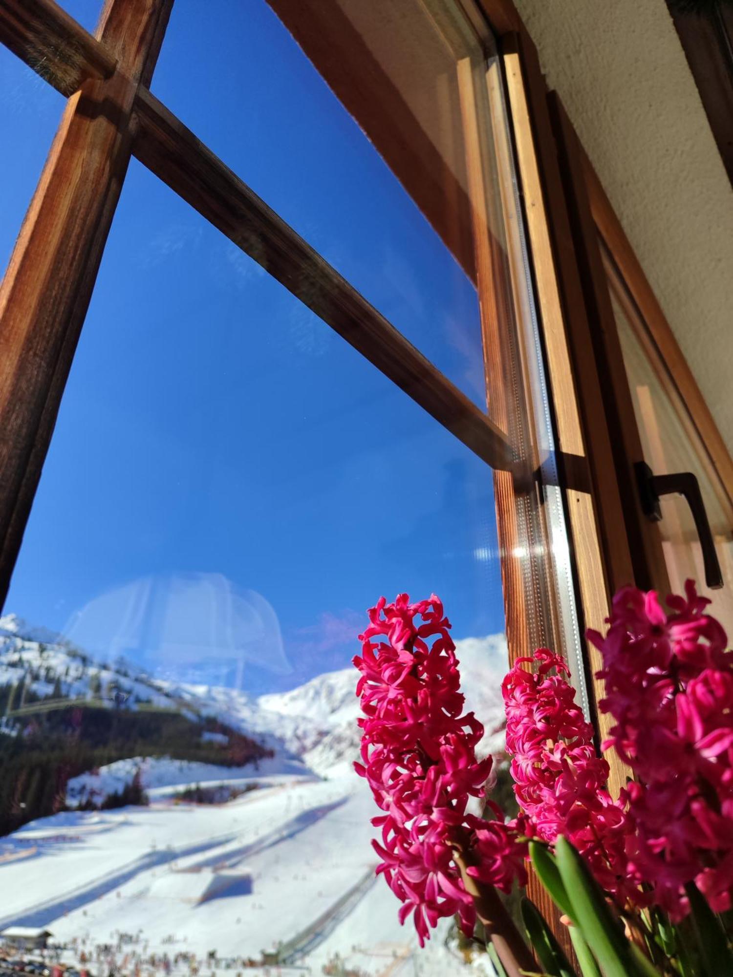 Hotel Almhof Hochfügen Eksteriør billede